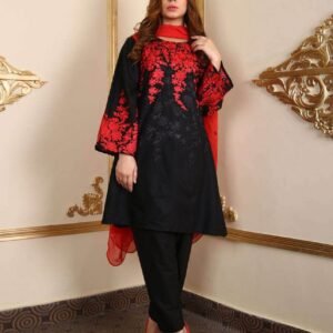 2 PC FRONT FULL EMBROIDERED SLEEVES FULL EMBROIDERED DYED TROUSER